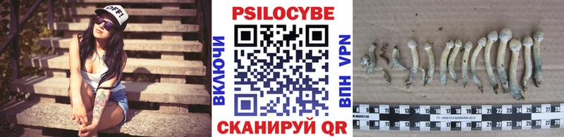 Псилоцибиновые грибы прущие грибы  Калтан 